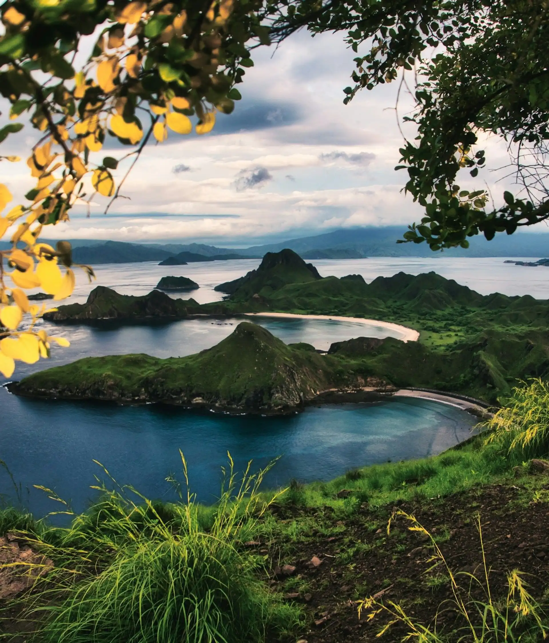 Voyage en Indonésie, Flores : île de padar komodo