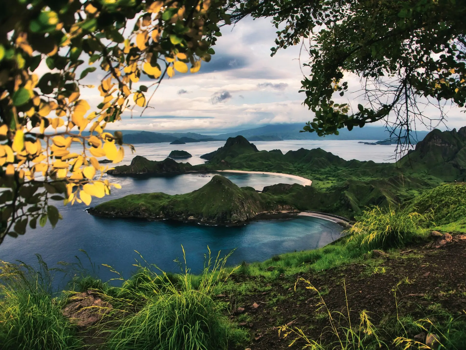 Voyage en Indonésie, Flores : île de padar komodo