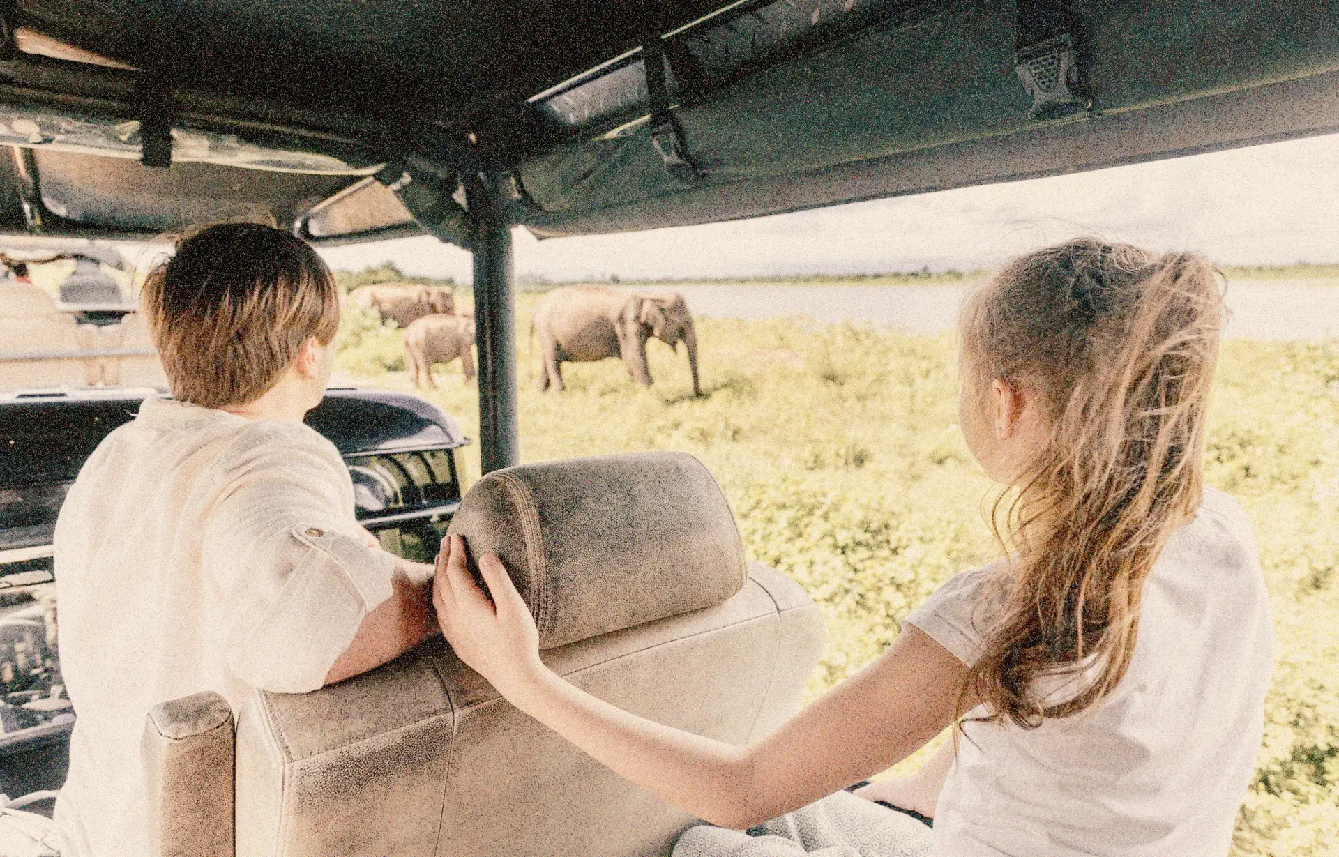 Voyage en Asie : Enfants observant des éléphants lors d’un safari au Sri Lanka