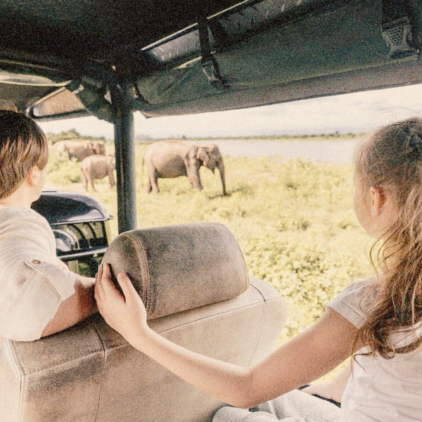 Voyage en Asie : Enfants observant des éléphants lors d’un safari au Sri Lanka
