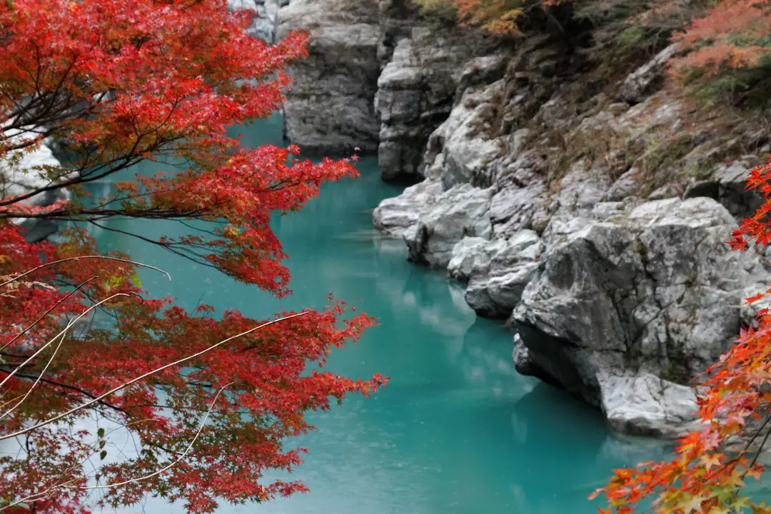 Rivière à Iya Valley dans le Shikoku