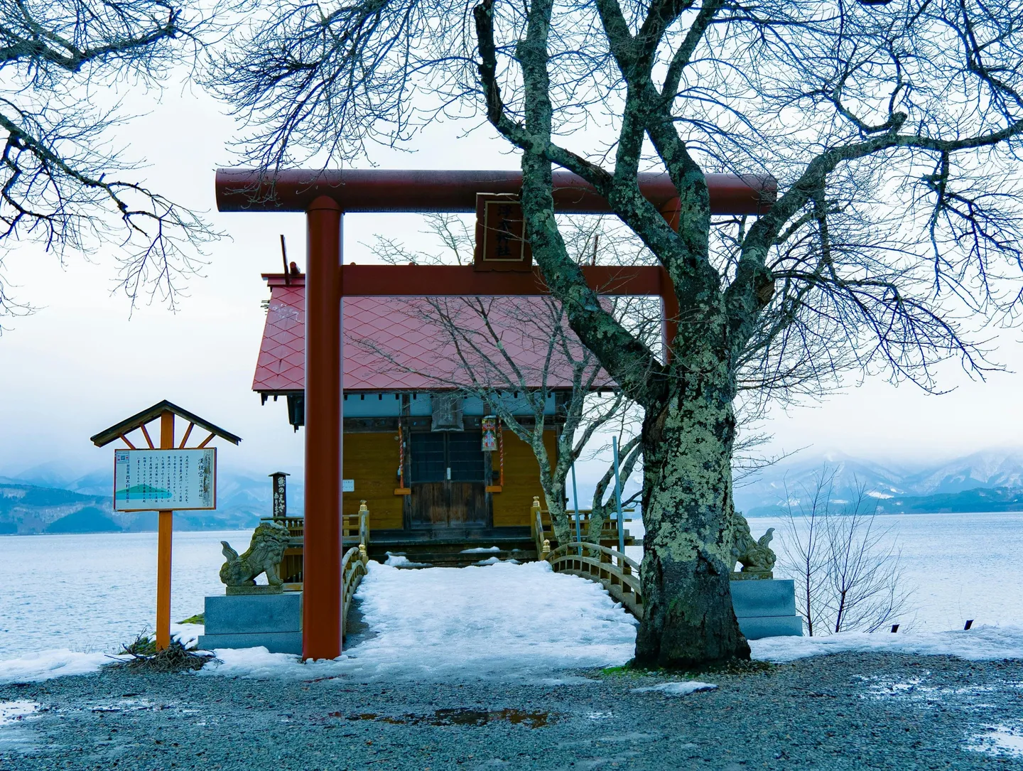 Japan winter Akita pexels.jpg