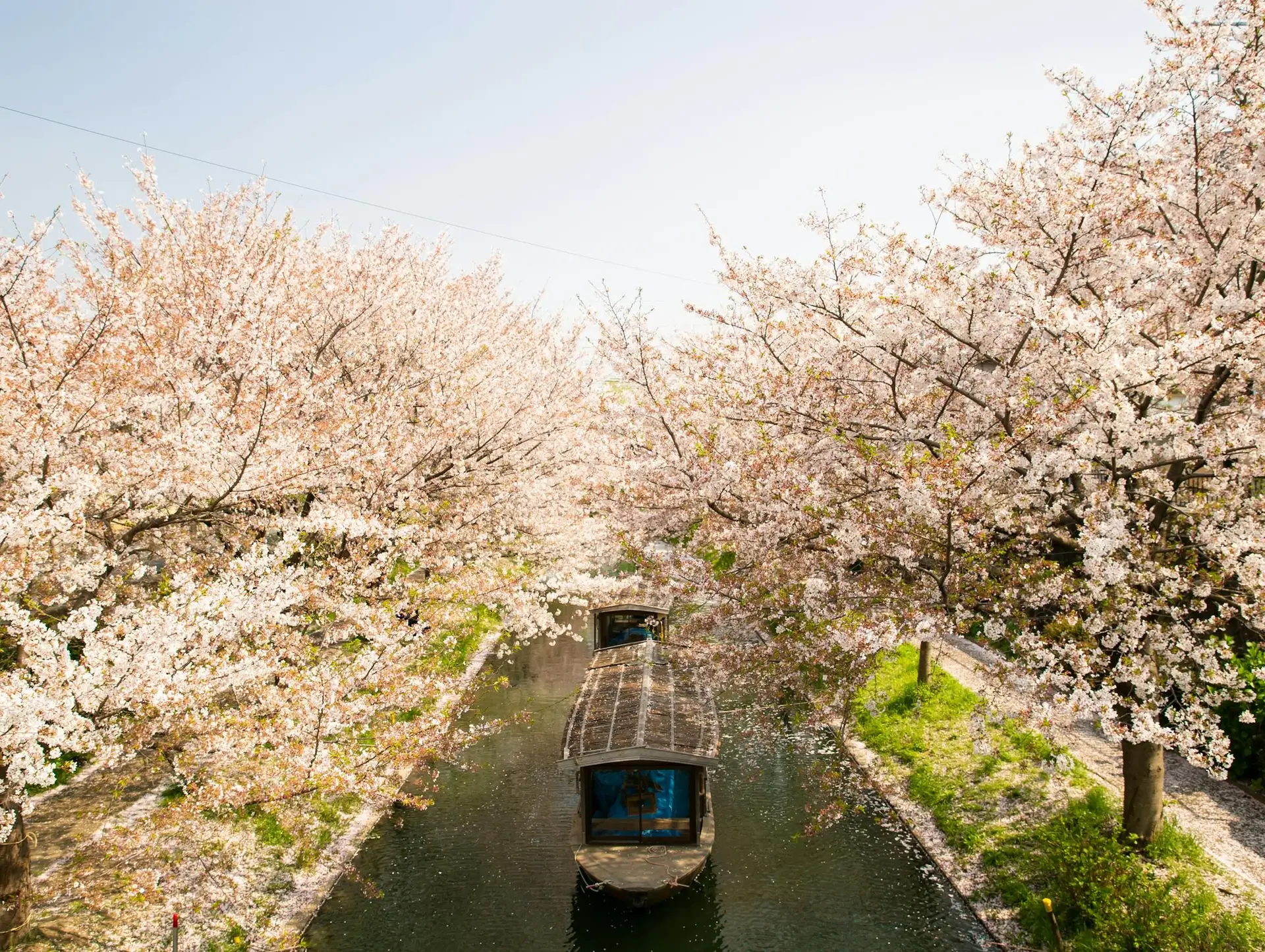 Que lire avant de partir au Japon ?
