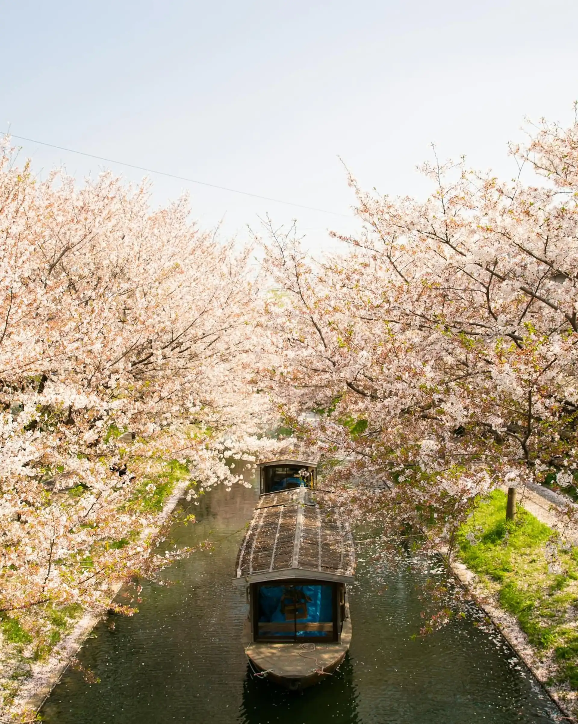 Sélection de livres, romans et guides de voyage sur le Japon pour préparer son itinéraire et découvrir la culture nippone.