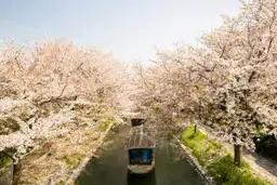 Sélection de livres, romans et guides de voyage sur le Japon pour préparer son itinéraire et découvrir la culture nippone.