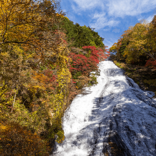 Chute d'eau de Ryuzu (Ryuzu Falls) à Nikko entourée des couleurs flamboyantes de l'automne japonais, une étape nature incontournable recommandée par les experts Shanti Travel pour les photographes et randonneurs.