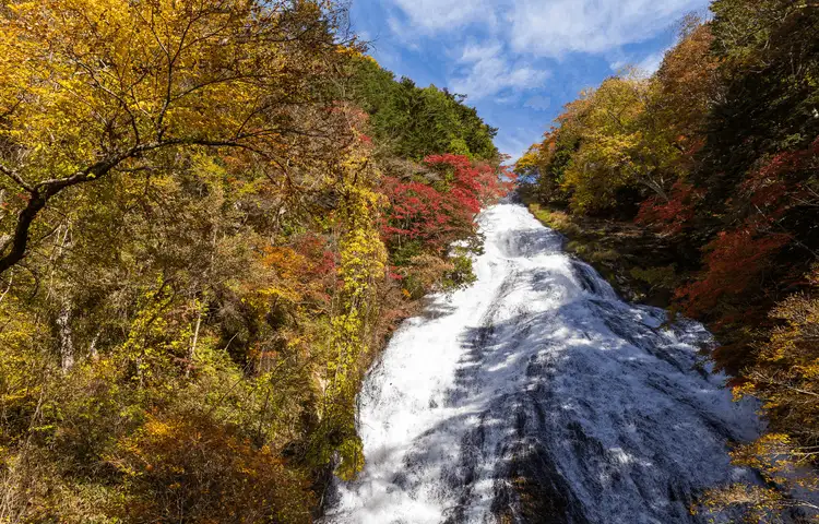 Chute d'eau de Ryuzu (Ryuzu Falls) à Nikko entourée des couleurs flamboyantes de l'automne japonais, une étape nature incontournable recommandée par les experts Shanti Travel pour les photographes et randonneurs.