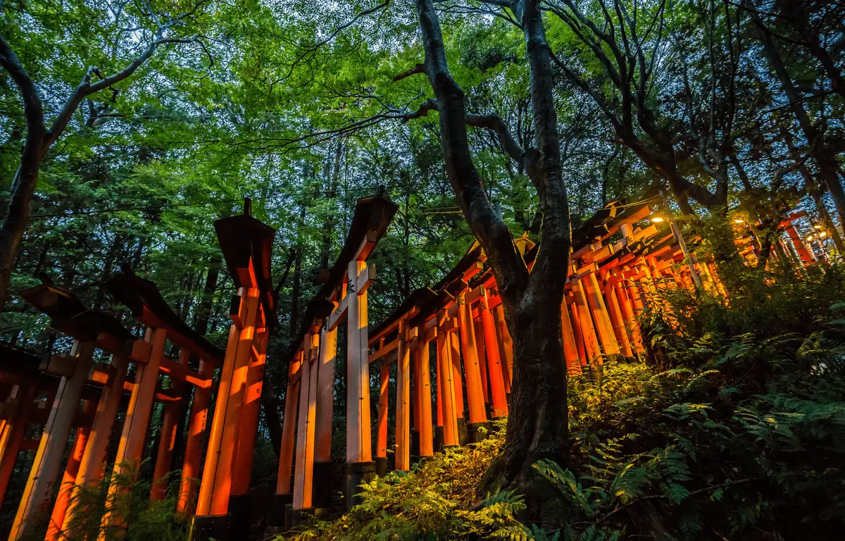 Voyage au Japon - Auberge du sanctuaire Fushimi Inari Taisha à Kyoto