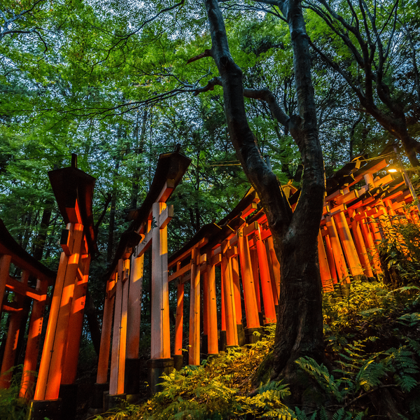 Voyage au Japon - Auberge du sanctuaire Fushimi Inari Taisha à Kyoto