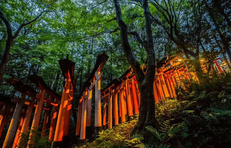 Voyage au Japon - Auberge du sanctuaire Fushimi Inari Taisha à Kyoto