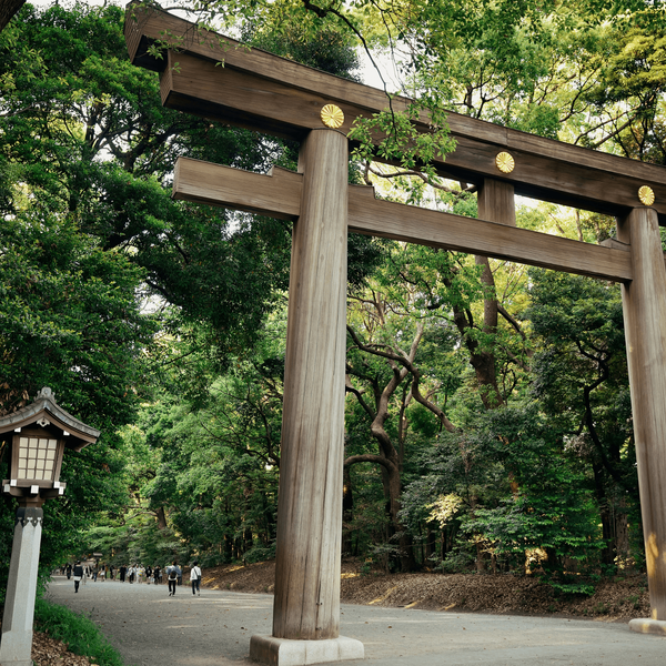 Voyage au Japon - Porte du sanctuaire Meiji à Tokyo