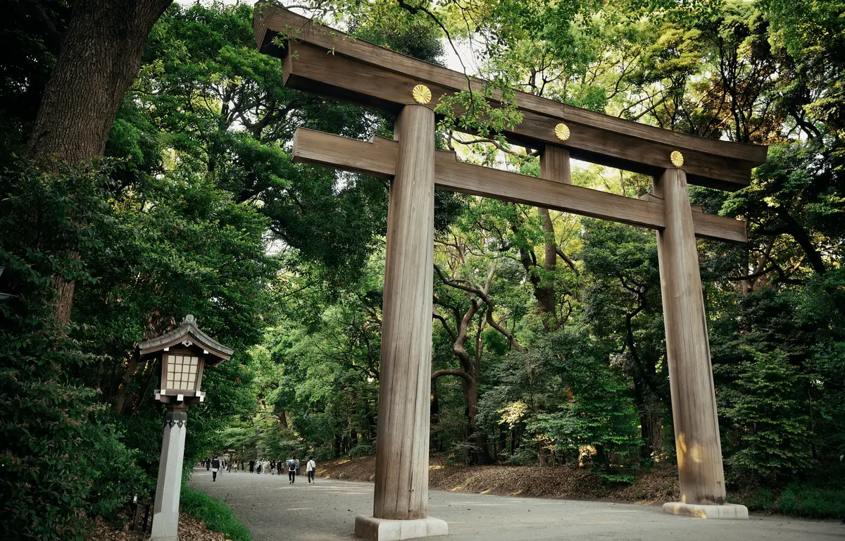 Voyage responsable au Japon — Grande porte Torii en bois marquant l'entrée de la forêt du sanctuaire Meiji Jingu à Tokyo.