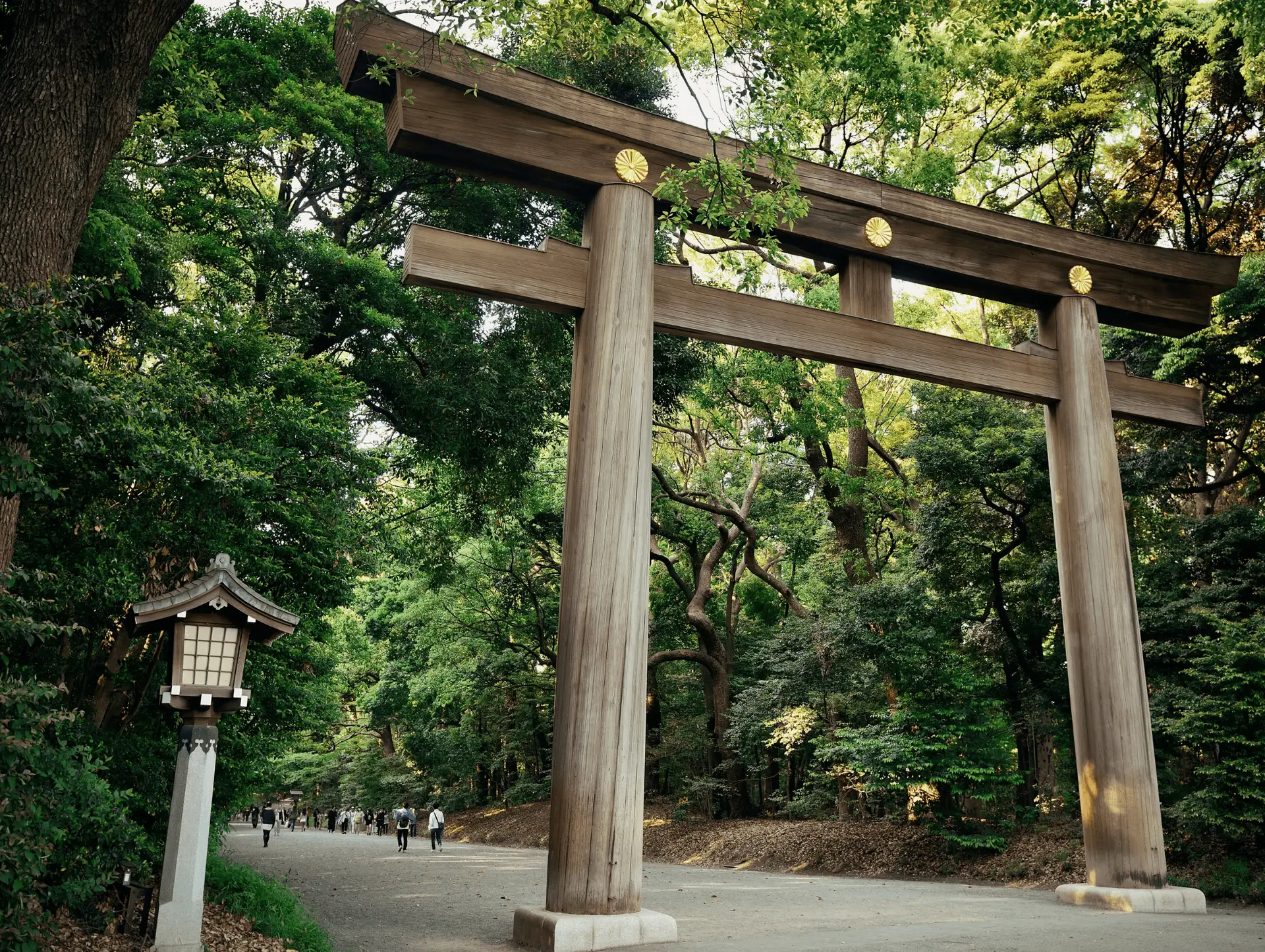 Voyage responsable au Japon