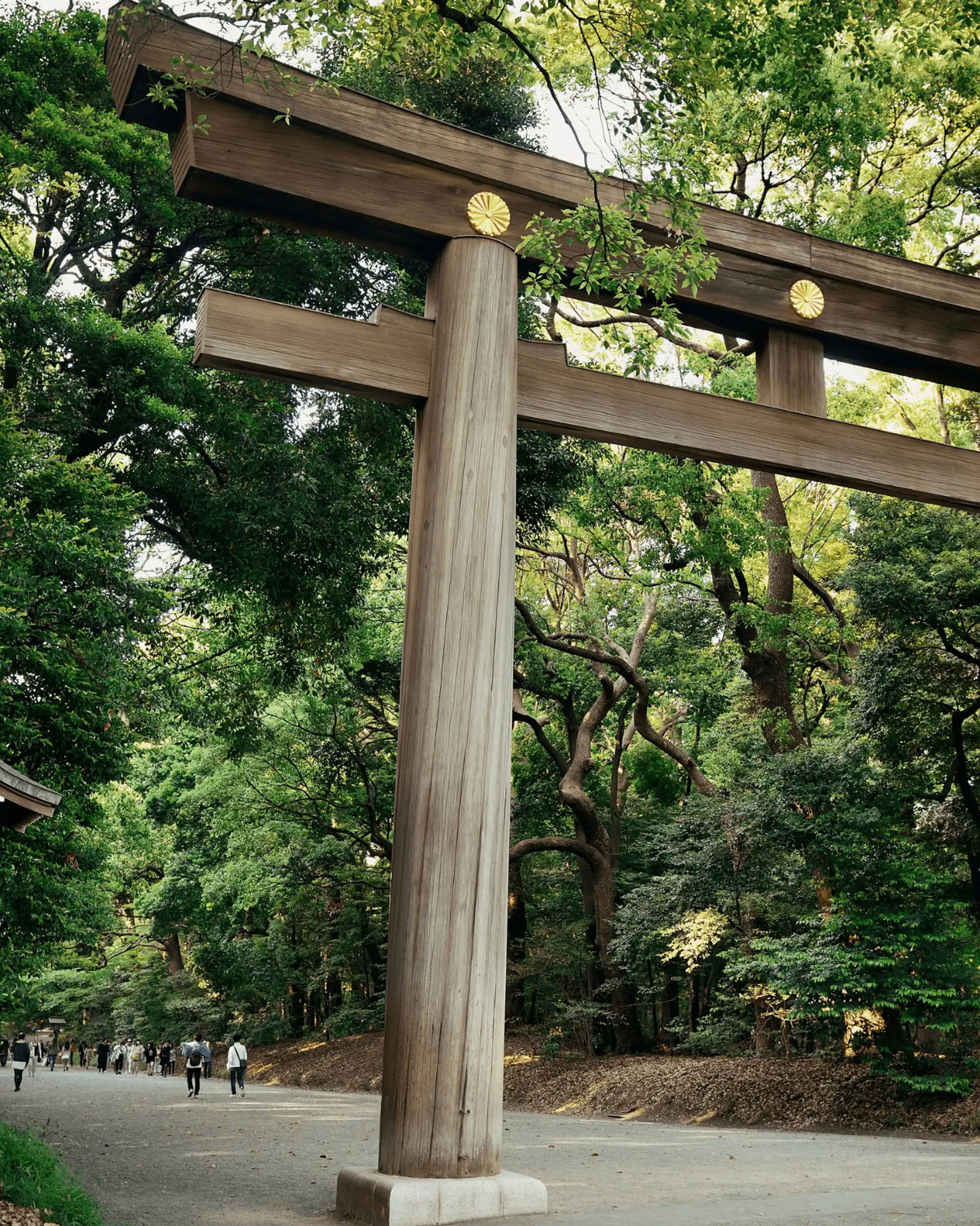 Voyage responsable au Japon — Grande porte Torii en bois marquant l'entrée de la forêt du sanctuaire Meiji Jingu à Tokyo.