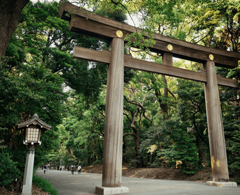 Voyage au Japon - Porte du sanctuaire Meiji à Tokyo