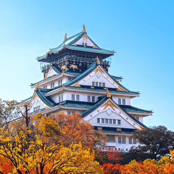 Le donjon principal du château d'Osaka (Osaka-jo) émergeant des feuillages d'automne flamboyants, un symbole historique de l'unification du Japon à découvrir lors de la dernière étape du circuit Shanti Travel.