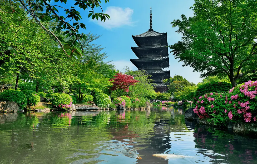 Japan - Canva - Shibuya - Kyoto - Day 6.png