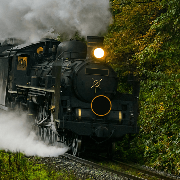 Locomotive à vapeur historique traversant les paysages verdoyants de Nikko, une expérience de voyage ferroviaire authentique et nostalgique incluse dans le circuit "Le Japon en train" de Shanti Travel.
