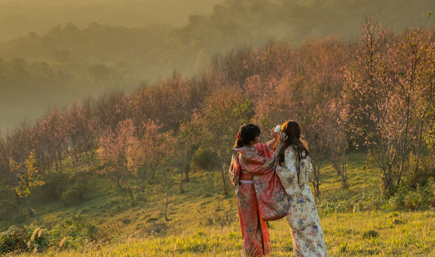 Voyage en Asie - Ma tribu sous le soleil levant au Japon