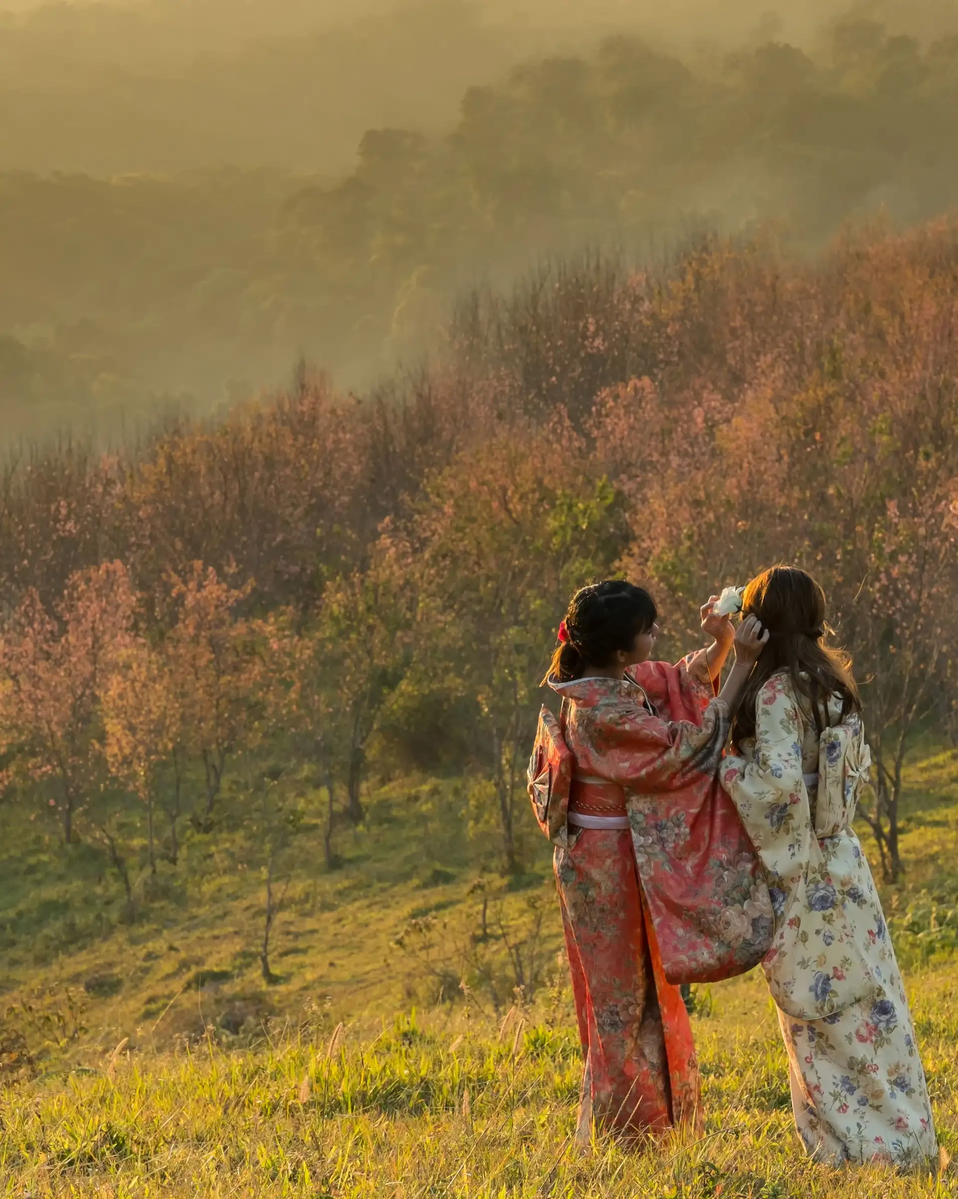 Voyage en Asie - Ma tribu sous le soleil levant au Japon