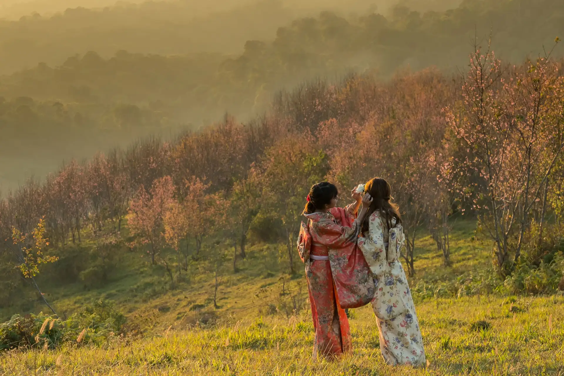Voyage en Asie - Ma tribu sous le soleil levant au Japon
