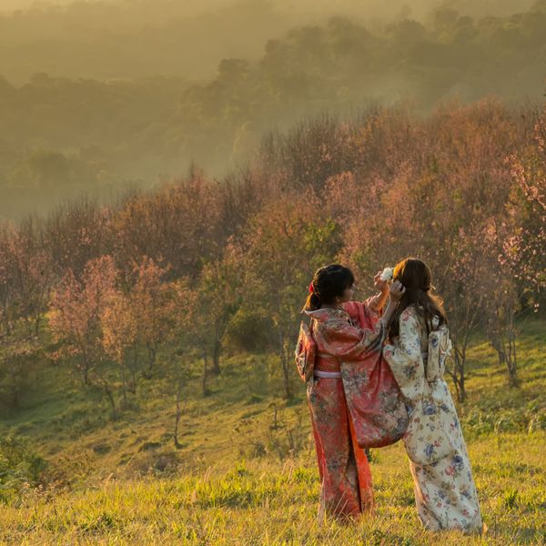 Voyage en Asie - Ma tribu sous le soleil levant au Japon