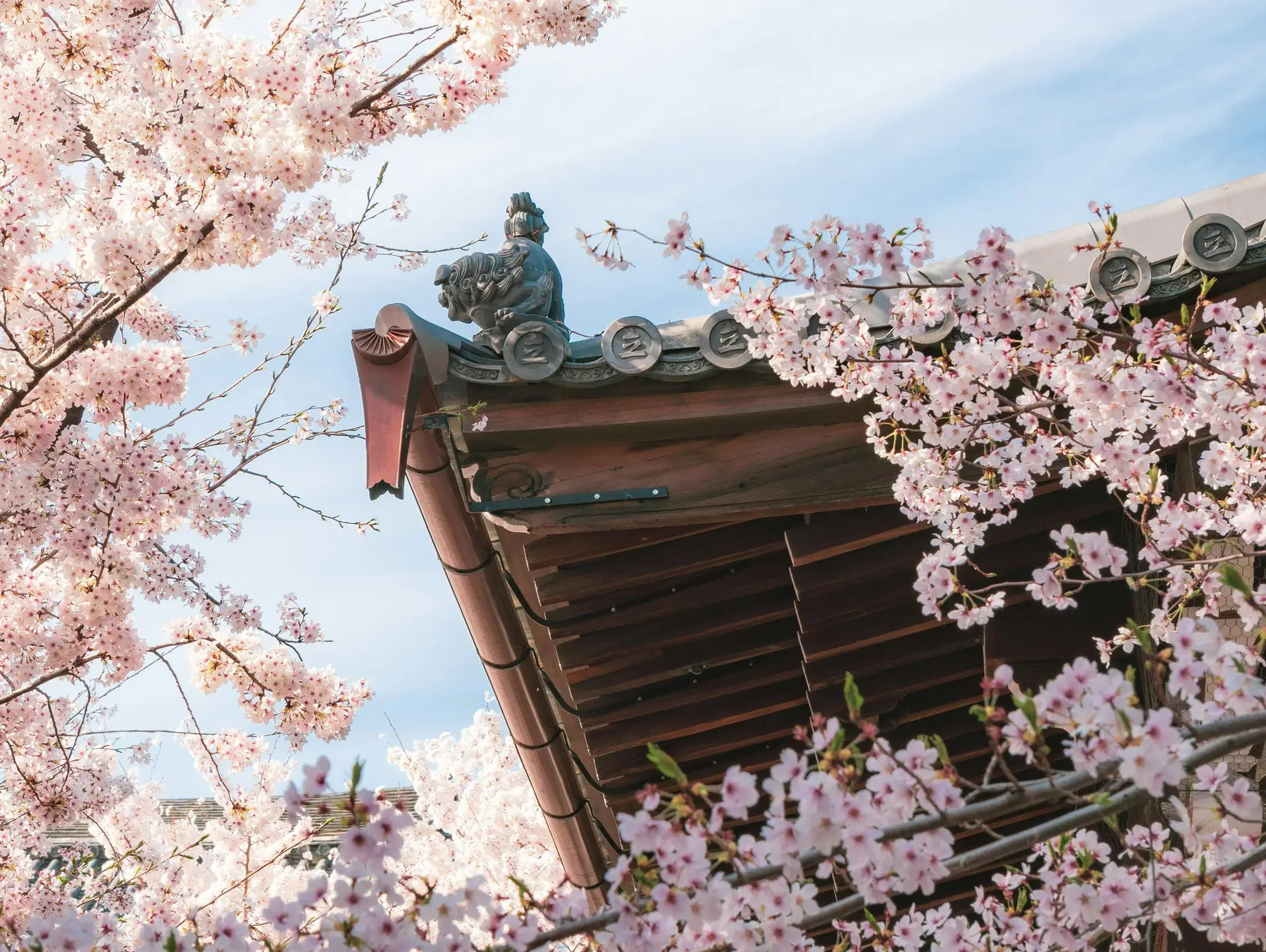 Quand partir au Japon ?