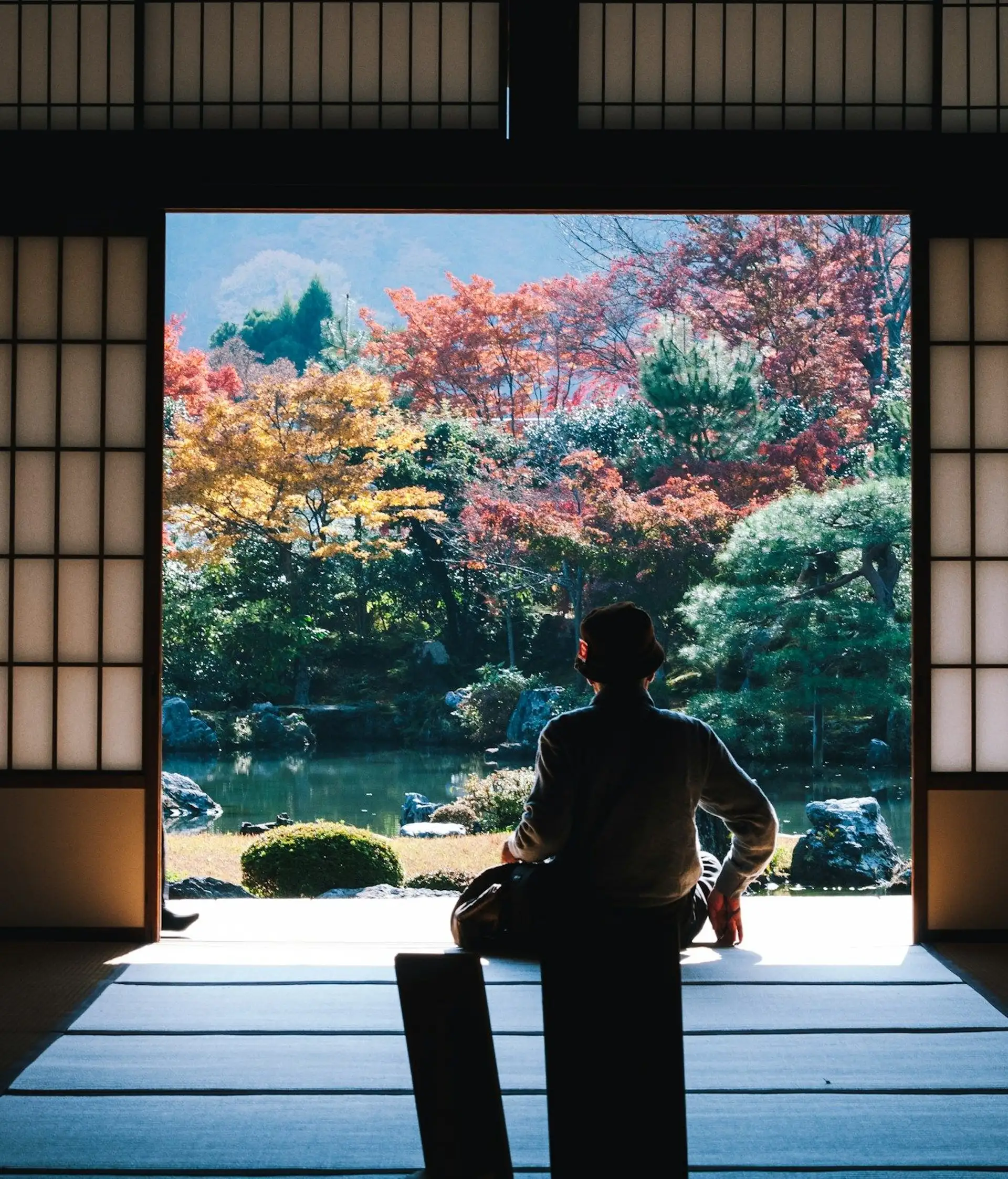 Travel in Asia - A man seated in temple building with open shoji screen doors looking out over autumn colors in Japan