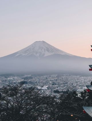 Voyage au Japon - Vue sur le temple Fuji