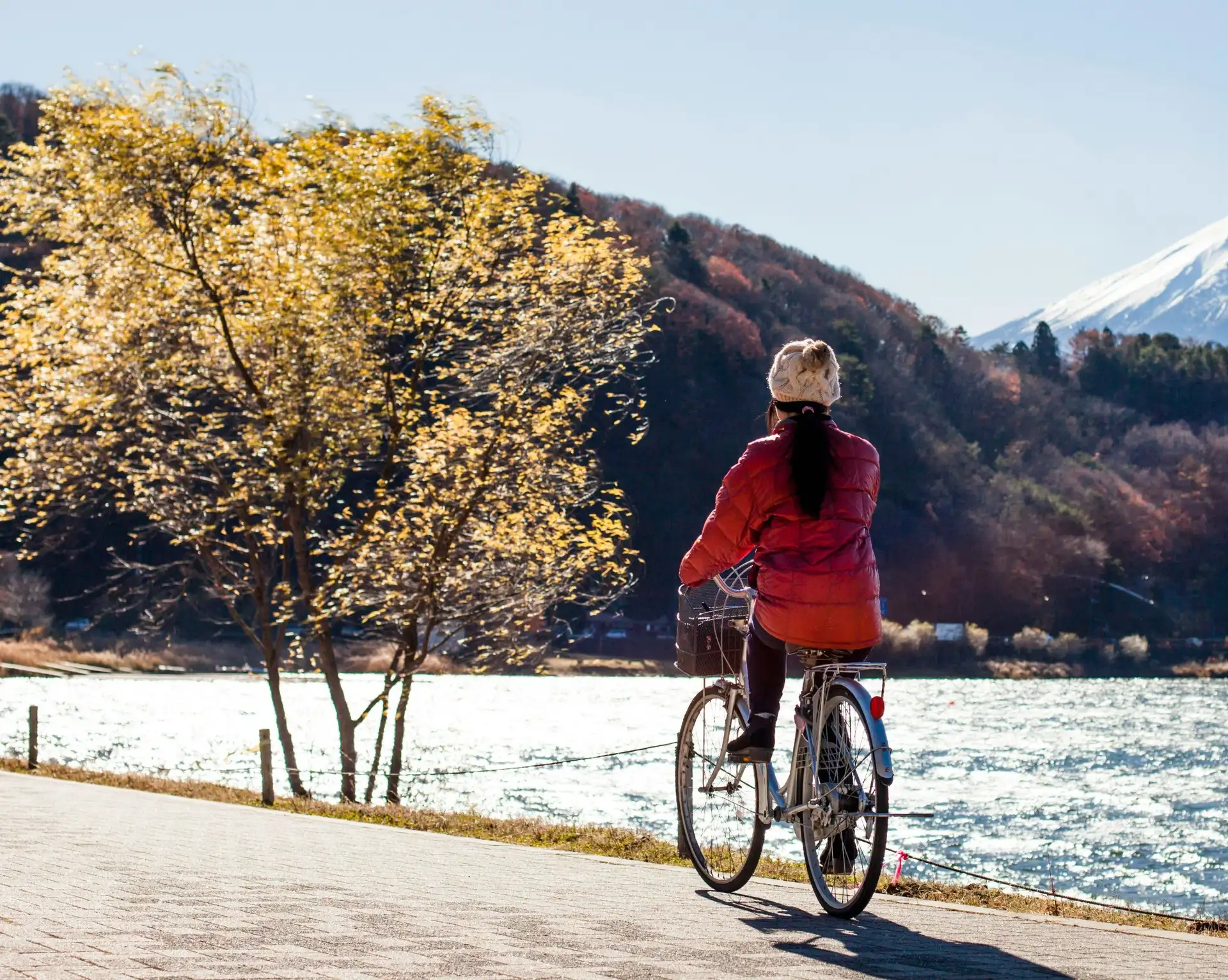 vue de dos d une personne a velo sur une piste bordant un lac face aux arbres d automne et au mont fuji enneige au japon