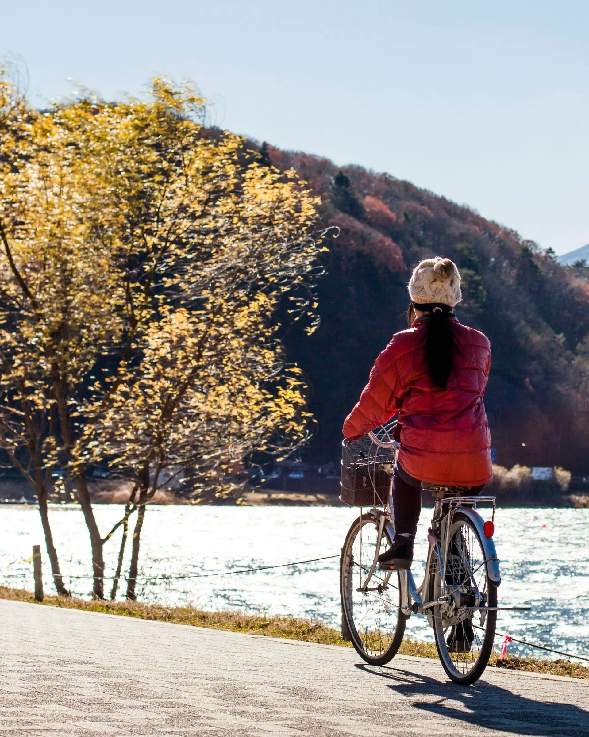 vue de dos d une personne a velo sur une piste bordant un lac face aux arbres d automne et au mont fuji enneige au japon