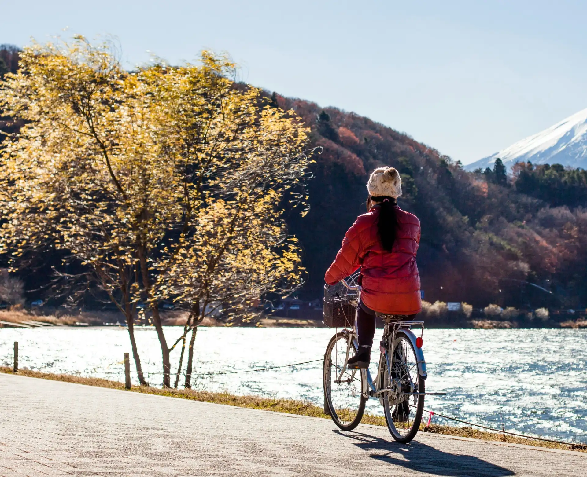 vue de dos d une personne a velo sur une piste bordant un lac face aux arbres d automne et au mont fuji enneige au japon