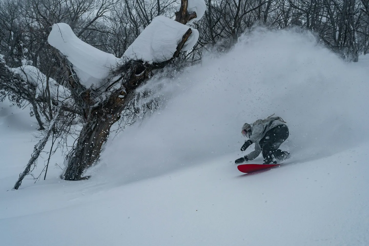 Japan snowboard Niseko people -unsplash.jpg