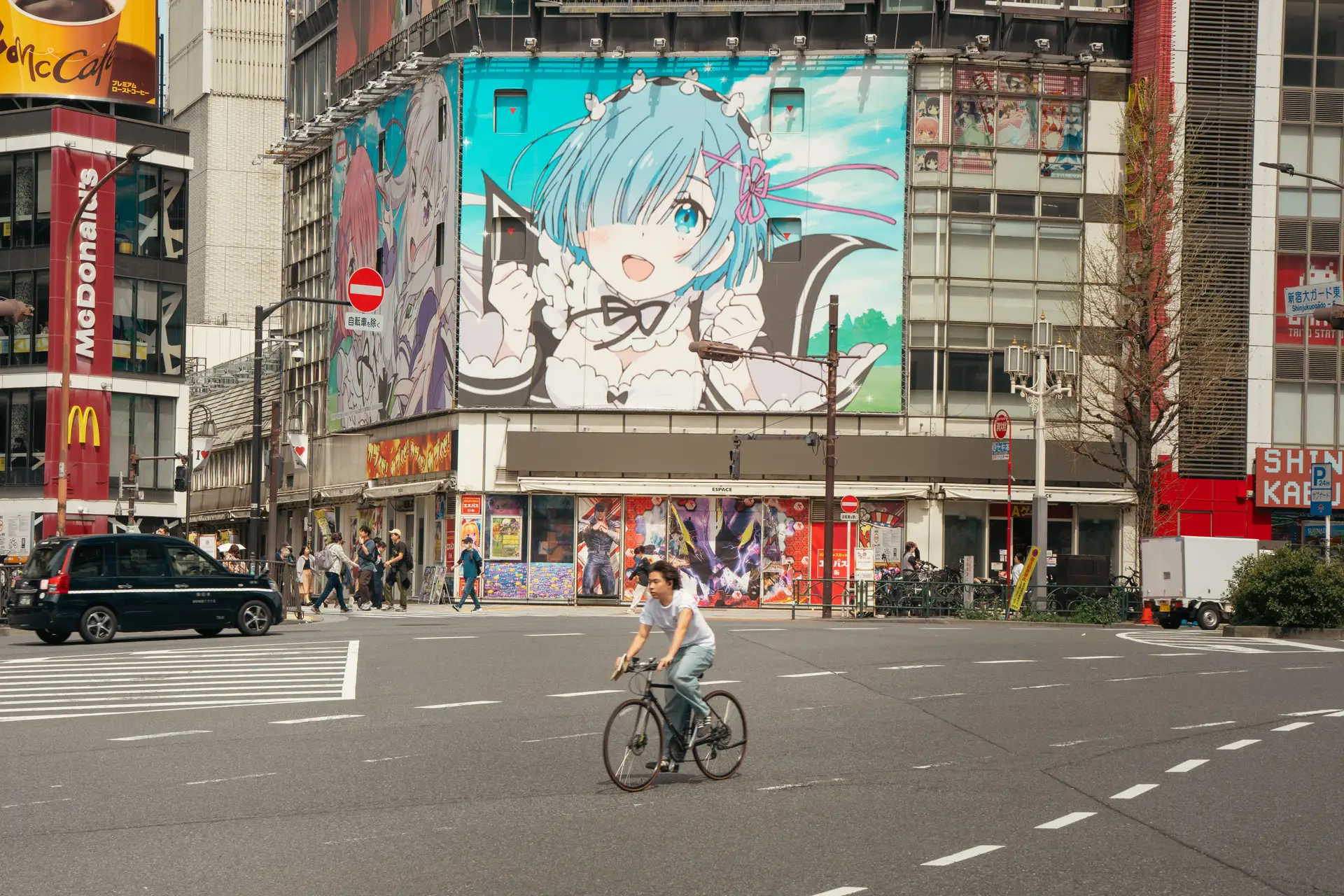 Carrefour Akihabara