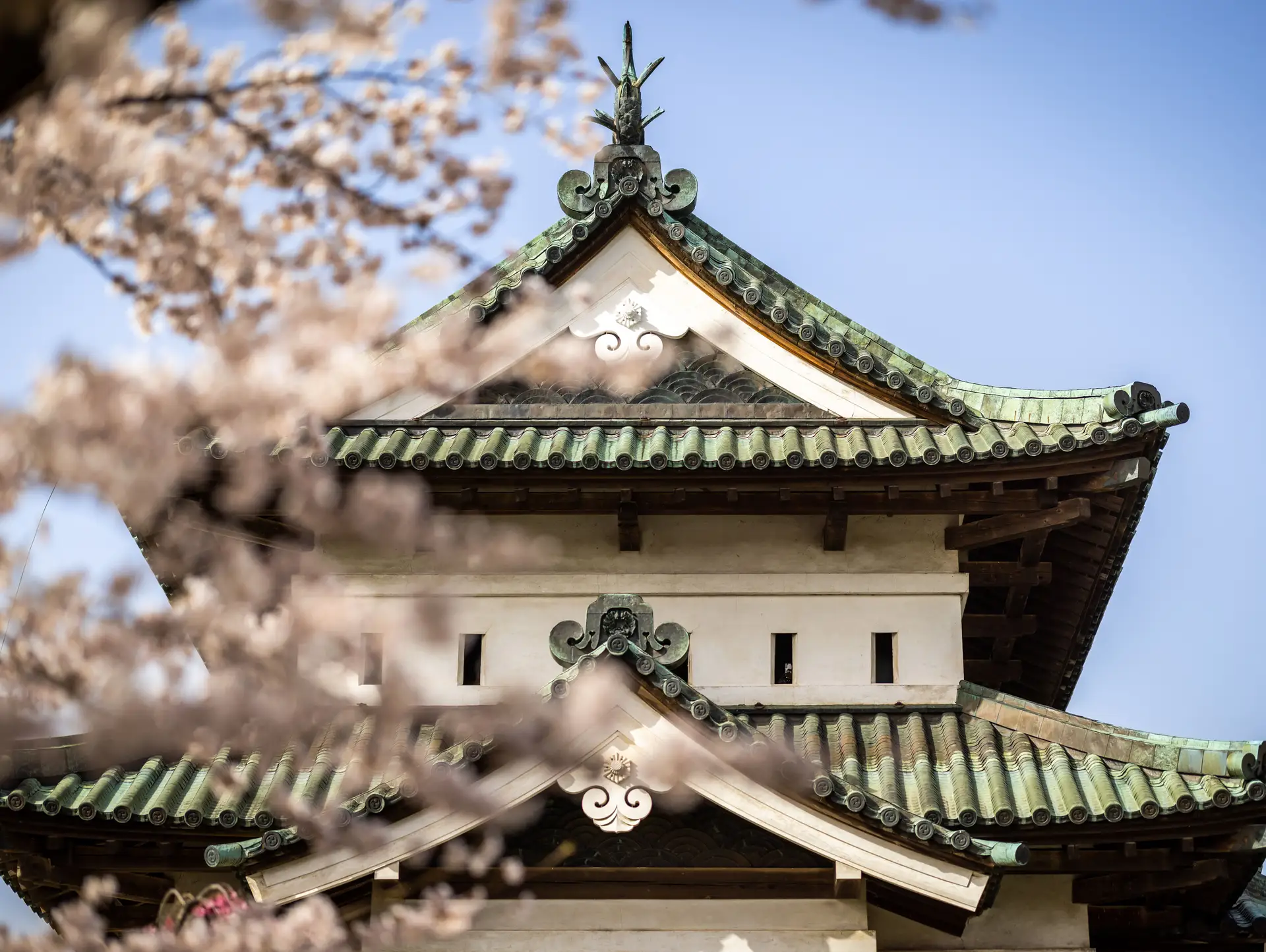 Combien coûte un voyage au Japon ? Budget moyen et astuces