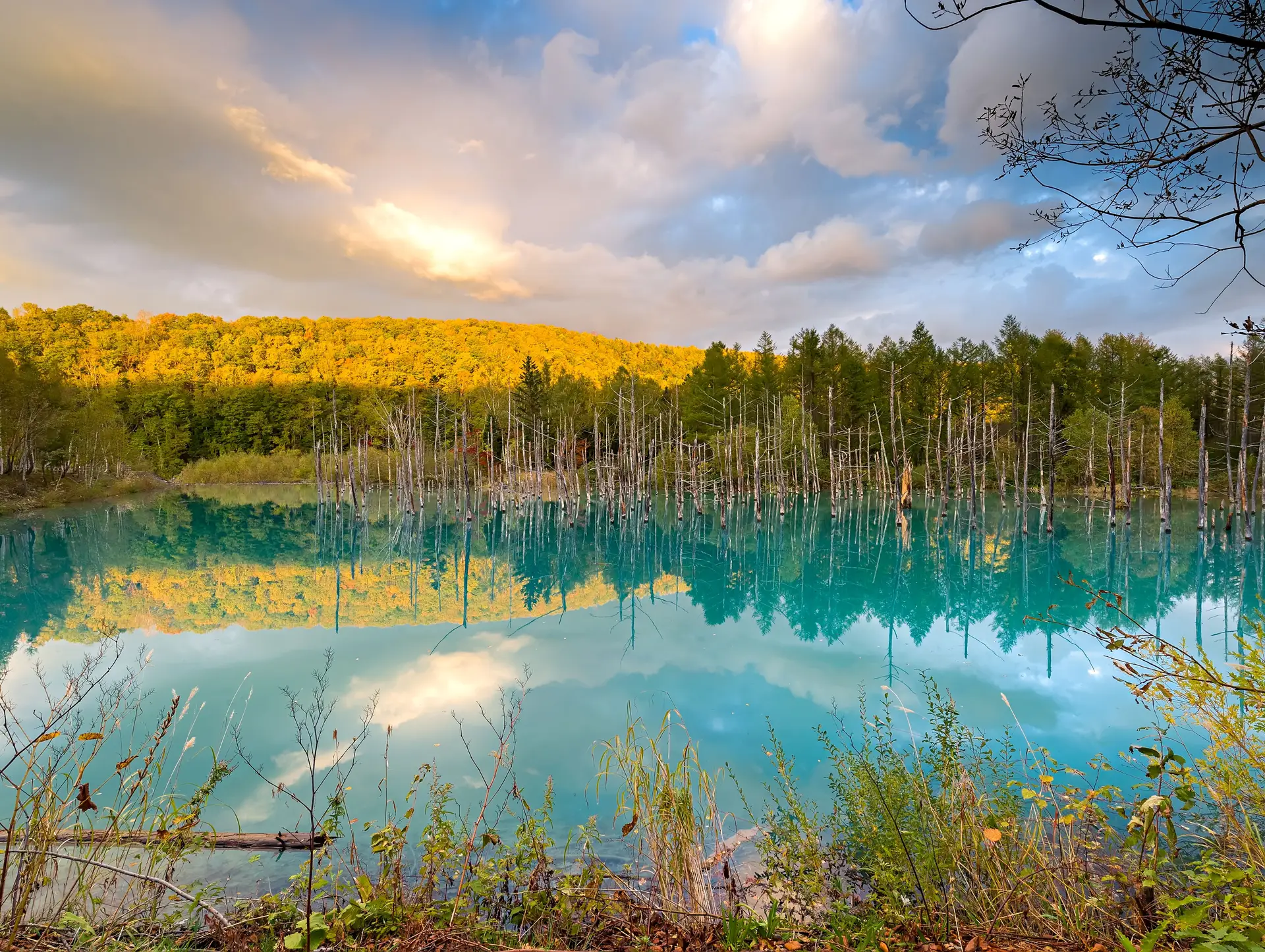 Circuit Japon hors des sentiers battus : nos régions secrètes préférées