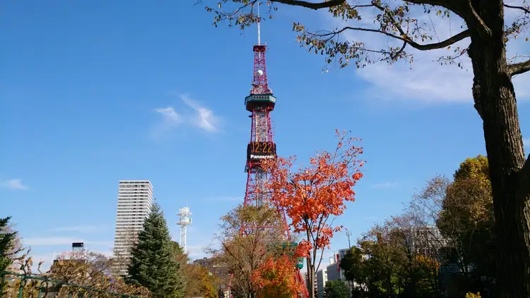 Voyage Japon — Vue sur la tour de télévision de Sapporo et les arbres en automne depuis le parc Odori à Hokkaido.