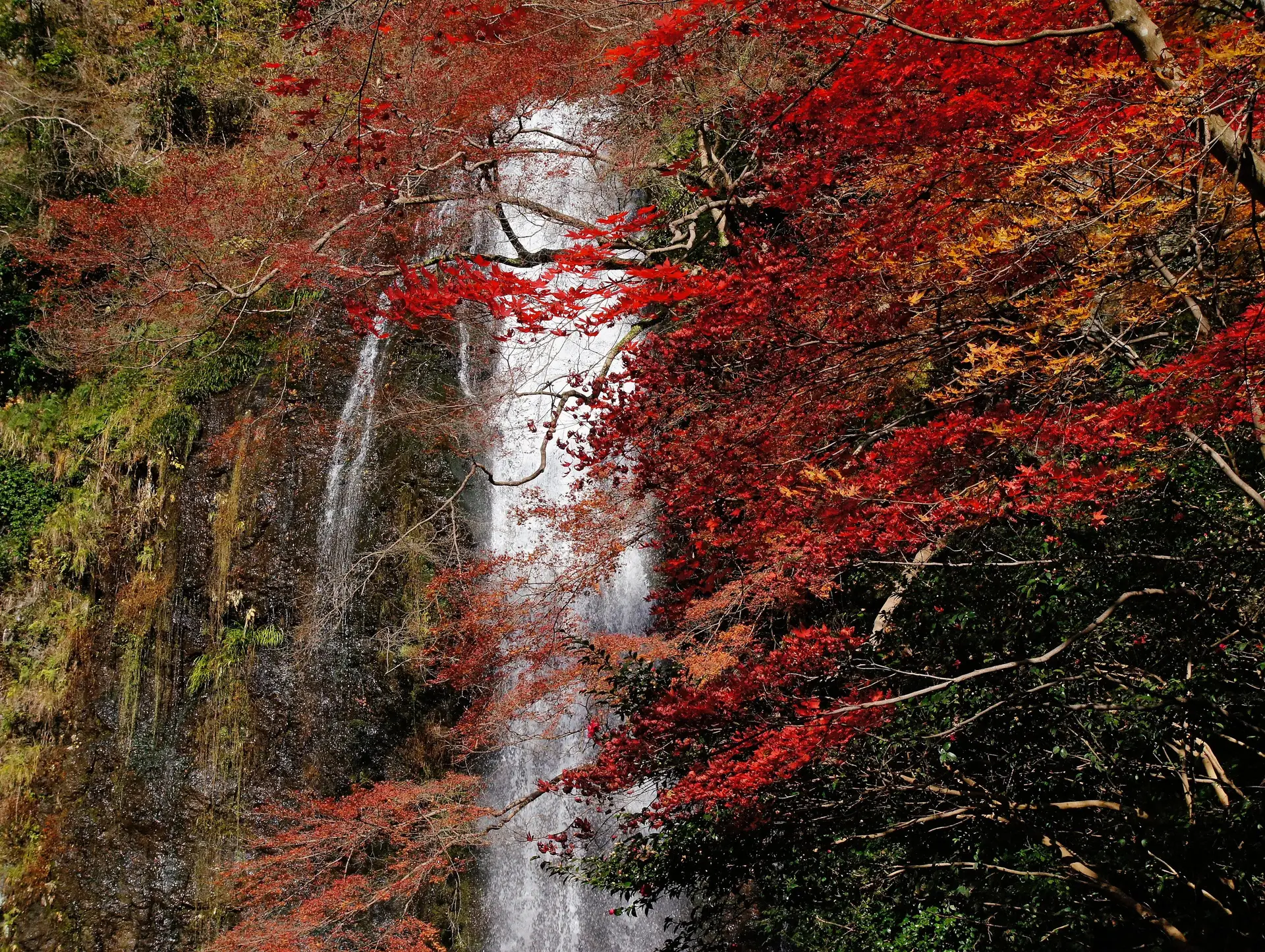  Circuit Japon hors des sentiers battus : Top 5 de nos excursions préférées