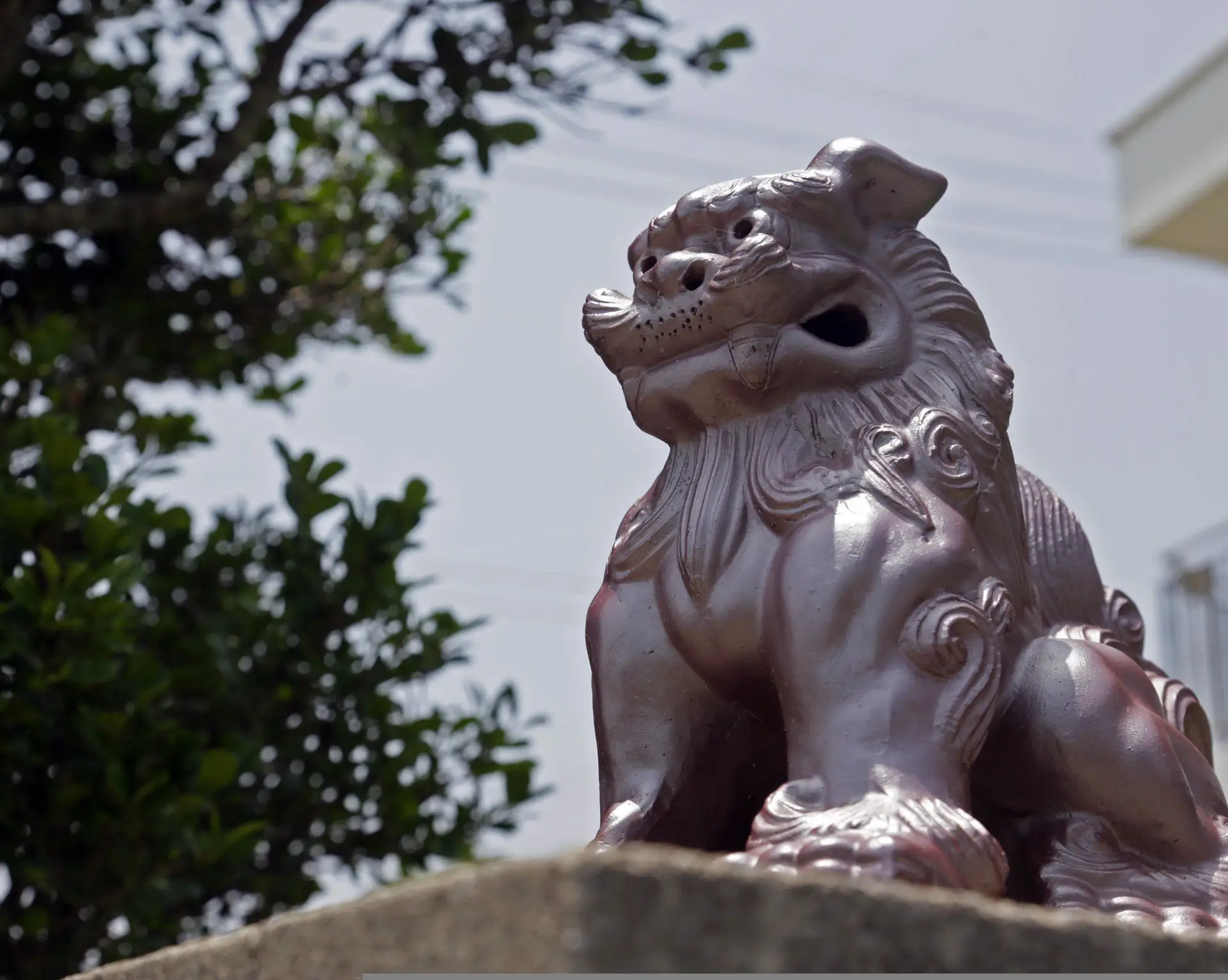 Statue de lion Shisa gardien traditionnel à Naha Okinawa culture Ryukyu