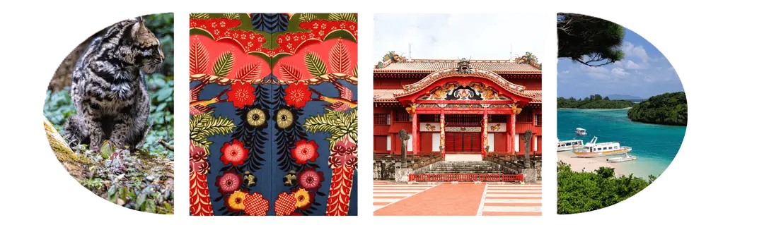 Découvrir Okinawa