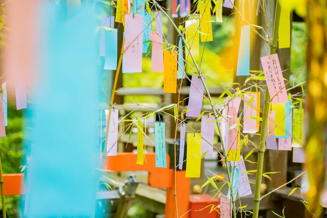 Voyage au Japon – Gros plan sur de petits papiers colorés contenant des voeux écrits suspendus à des branches de bambou lors du festival de Tanabata.