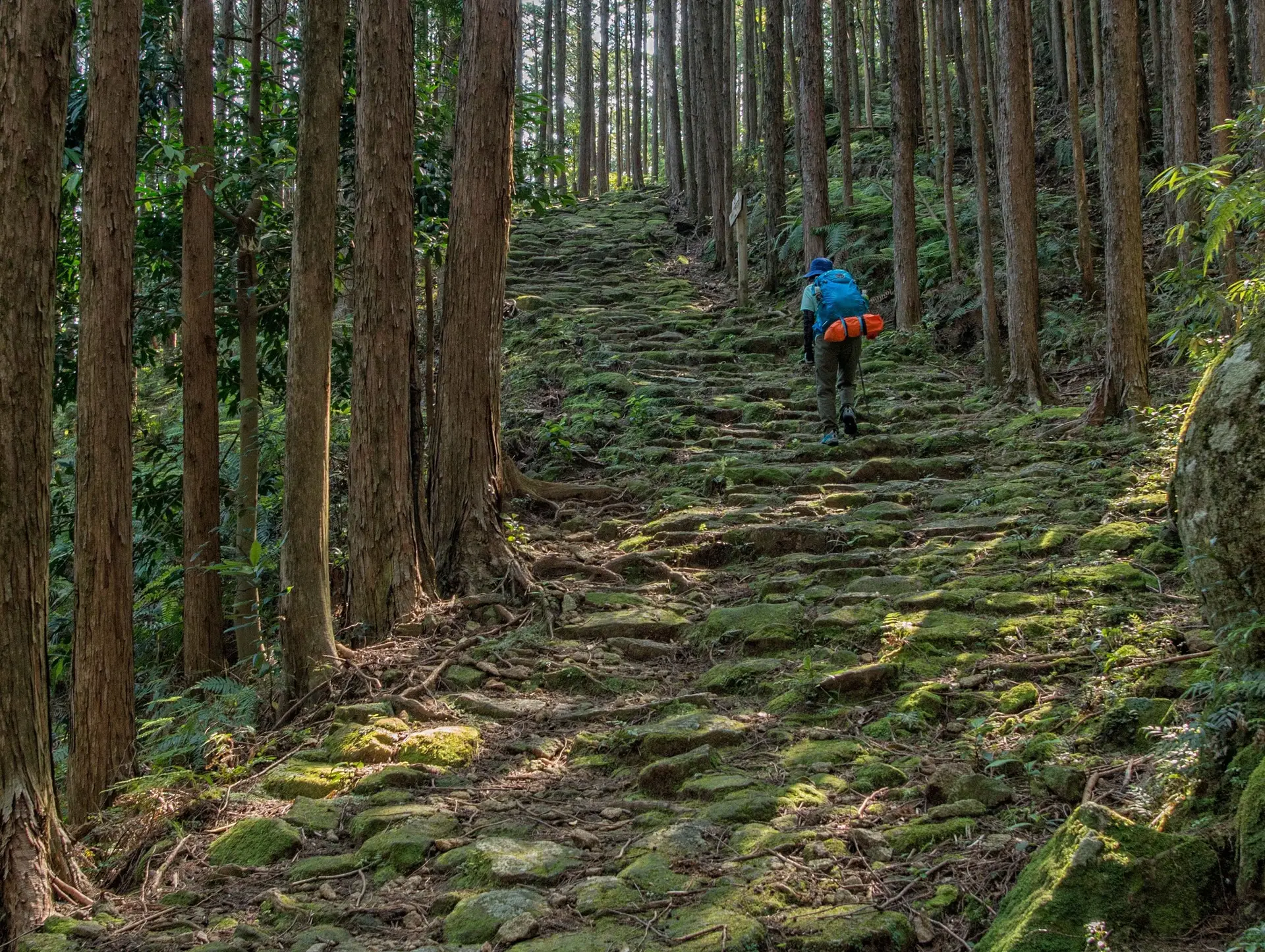 Les meilleurs Treks du Japon selon nos experts