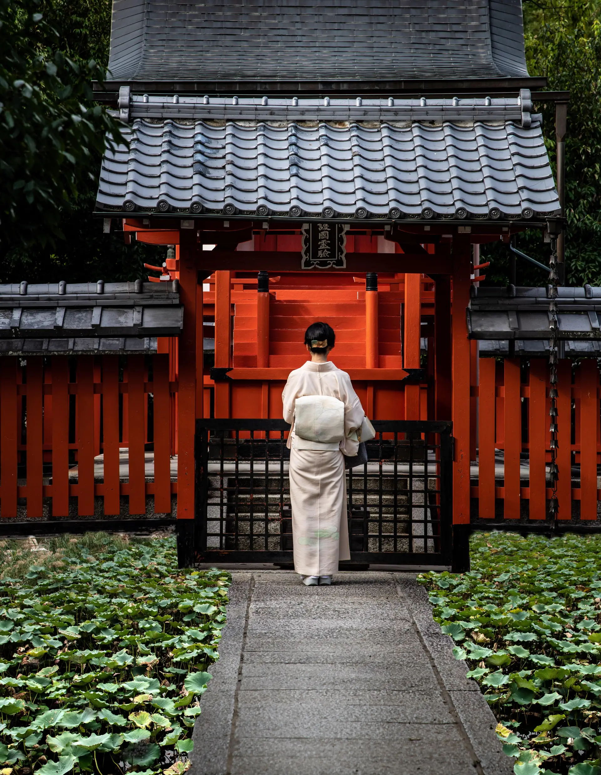 Femme en kimono traditionnel marchant devant l'entrée rouge d'un sanctuaire shinto Jinja au Japon