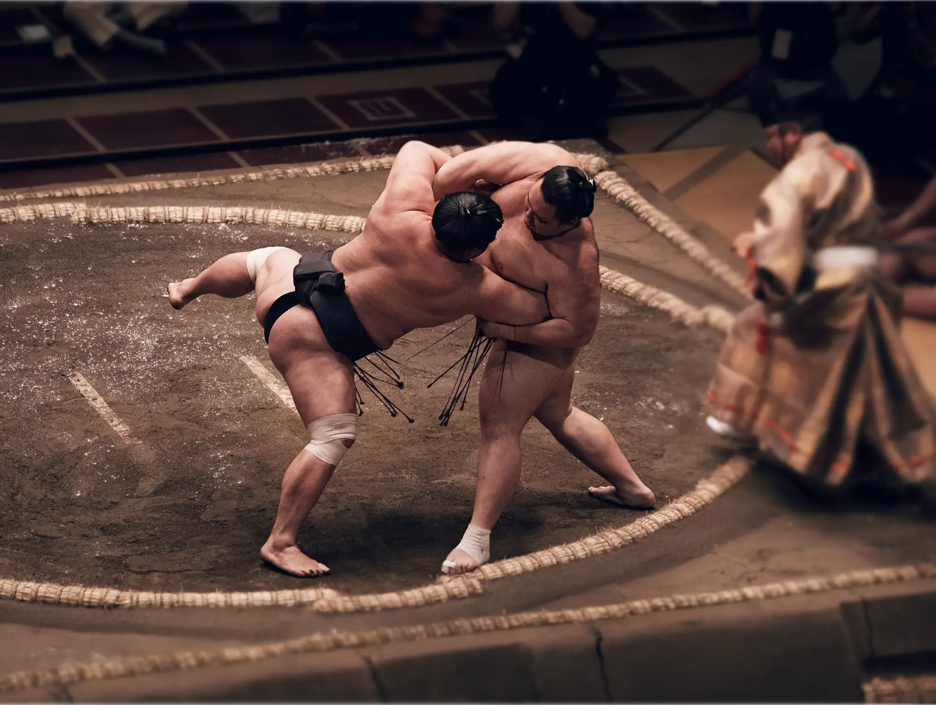 Les activités insolites à découvrir absolument au Japon