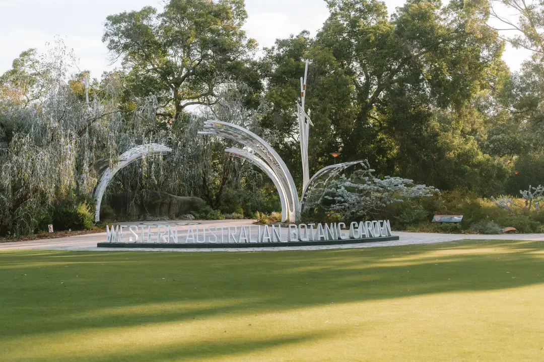 Jardin botanique d'Australie-Occidentale à Perth.jpg