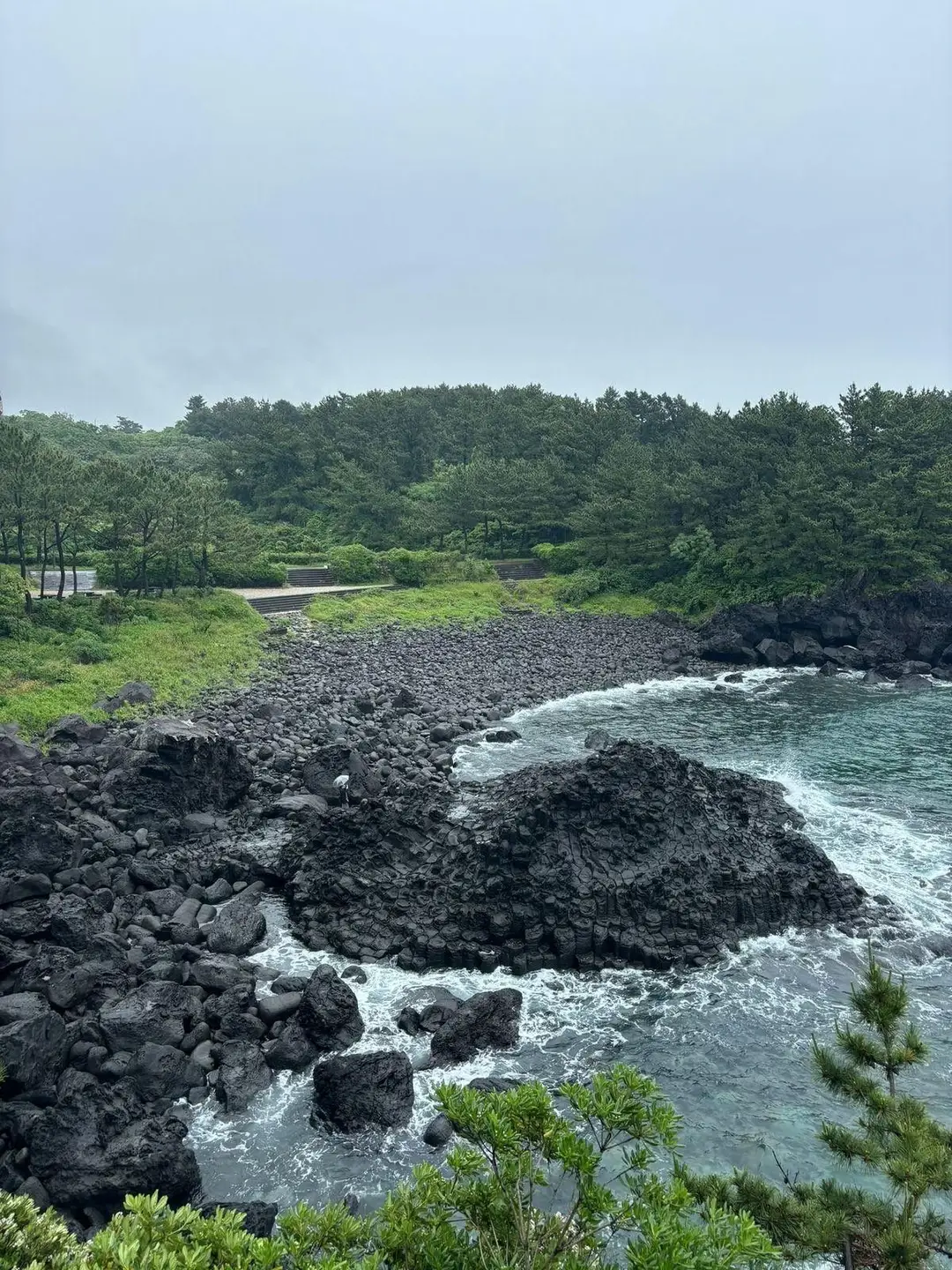 Une plage de galets noirs et de formations rocheuses volcaniques sombres bordée par une forêt verdoyante sur le littoral de l'île de Jeju.