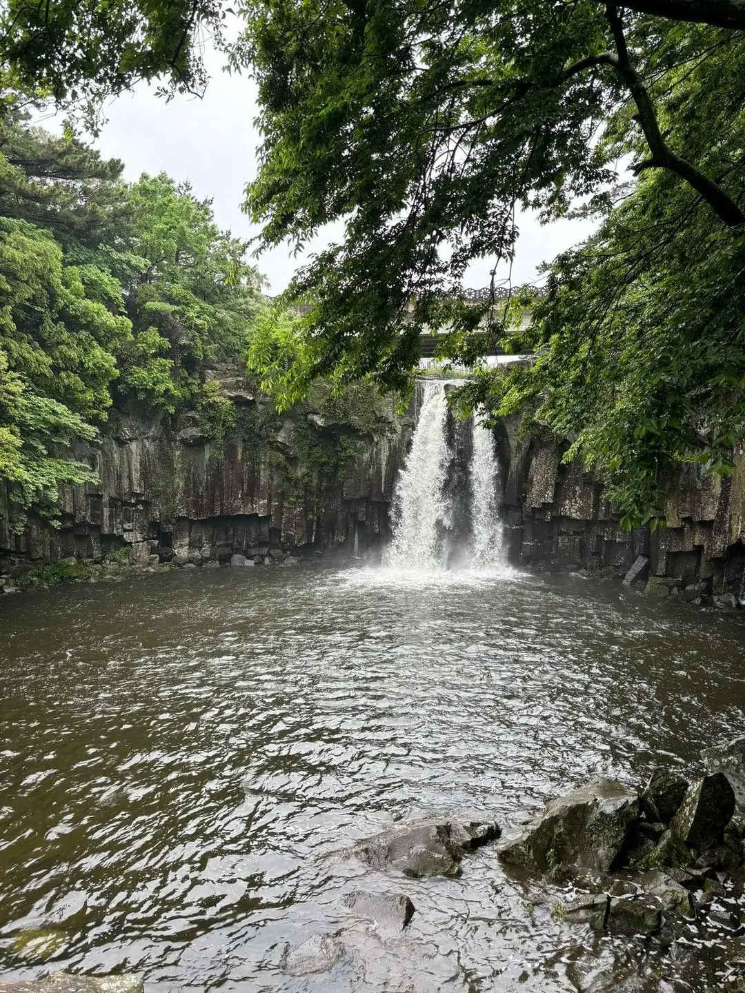 Une cascade se déversant depuis une falaise rocheuse entourée d'une végétation forestière dense dans un grand bassin d'eau claire à Jeju.