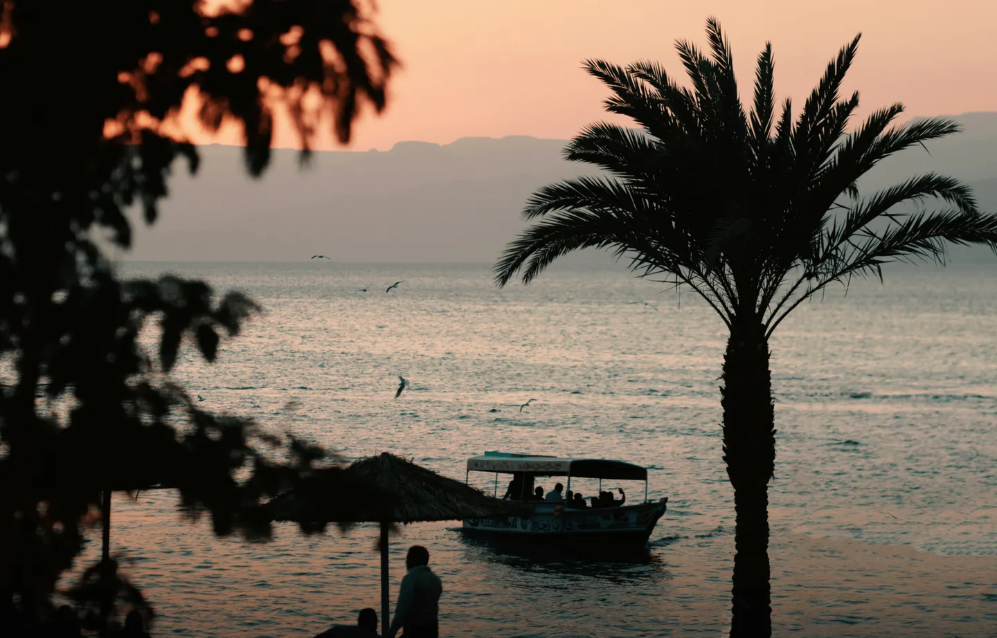 Jordan - La Mer Rouge en bateau à fond de verre - Famille - 5.png