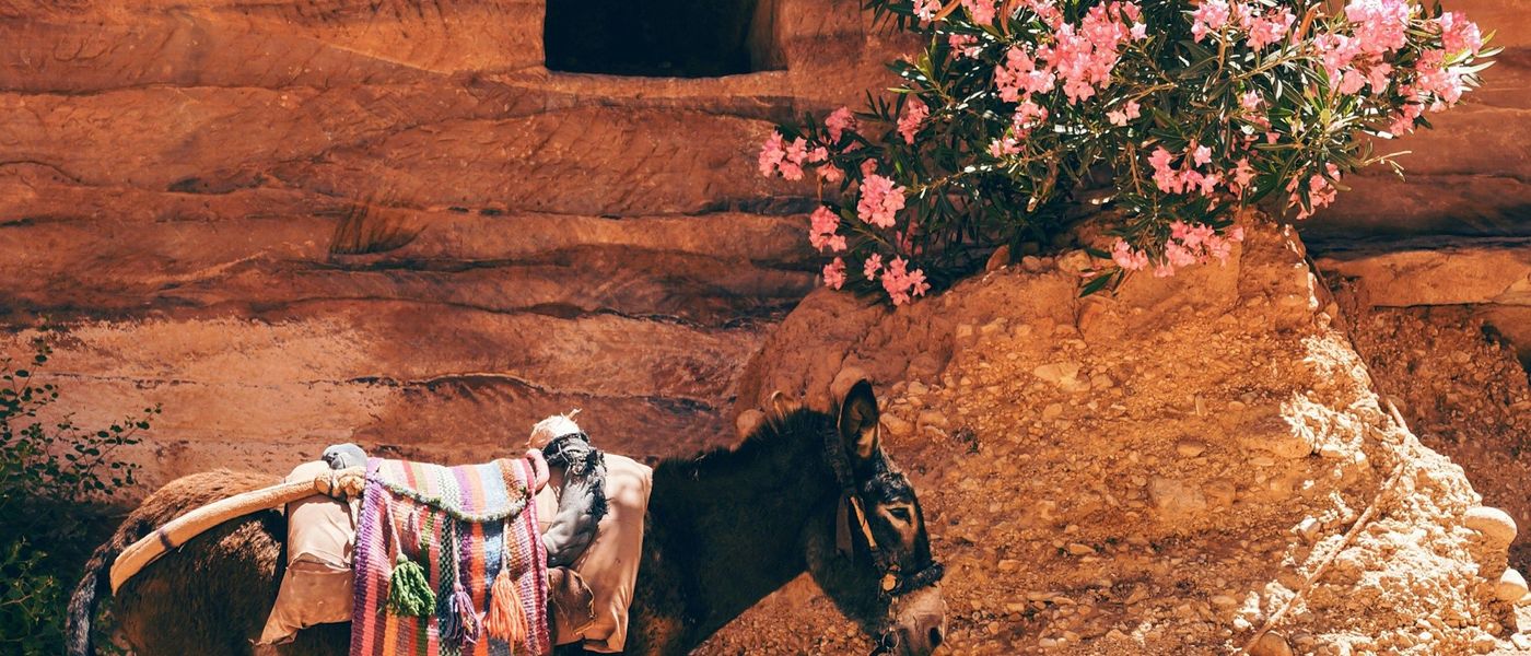 Guide de voyage Jordanie