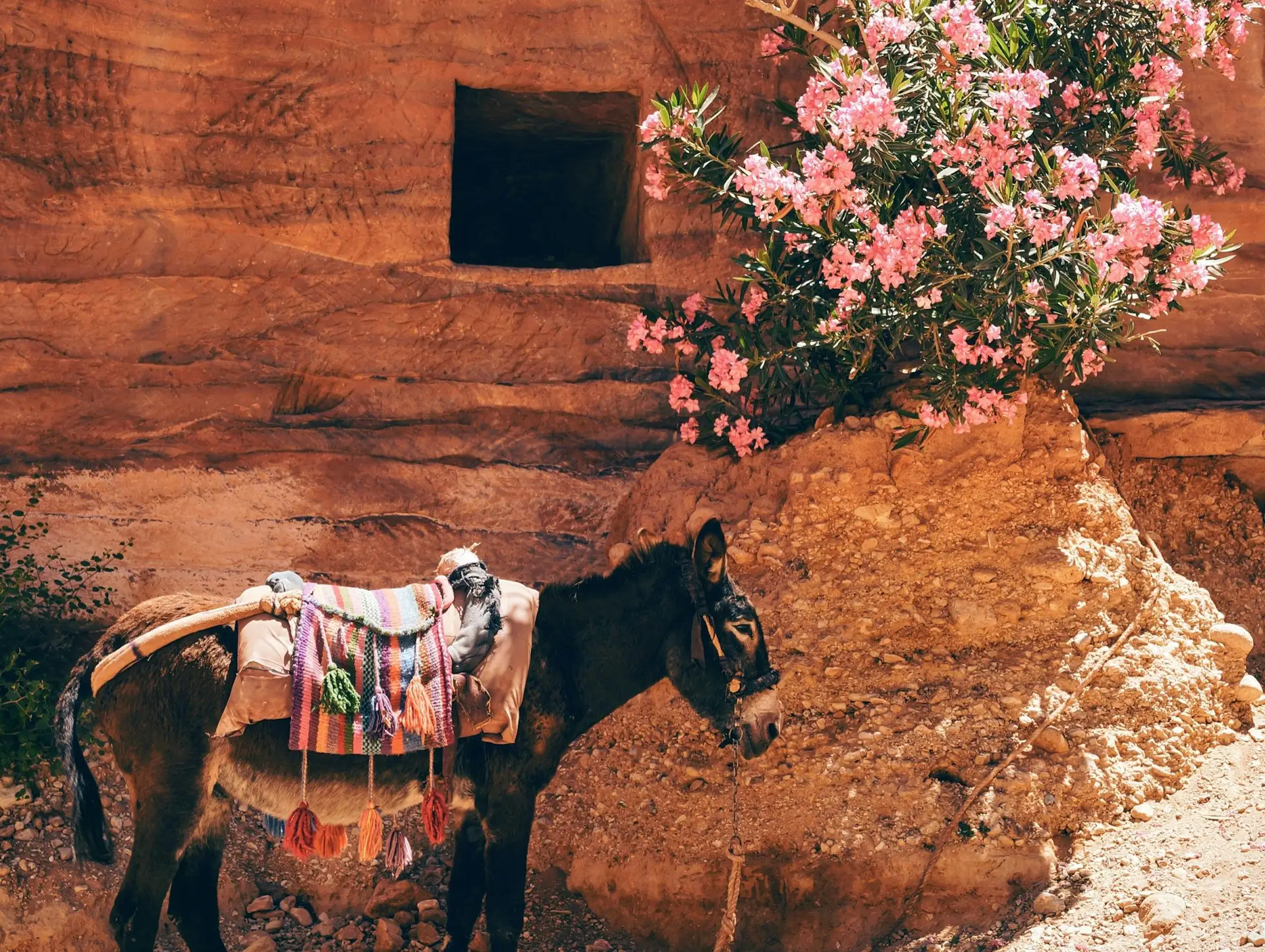 Que faire en Jordanie ?